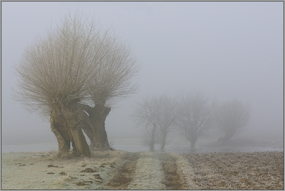 in Feld und Flur... Niederrhein *NRW*