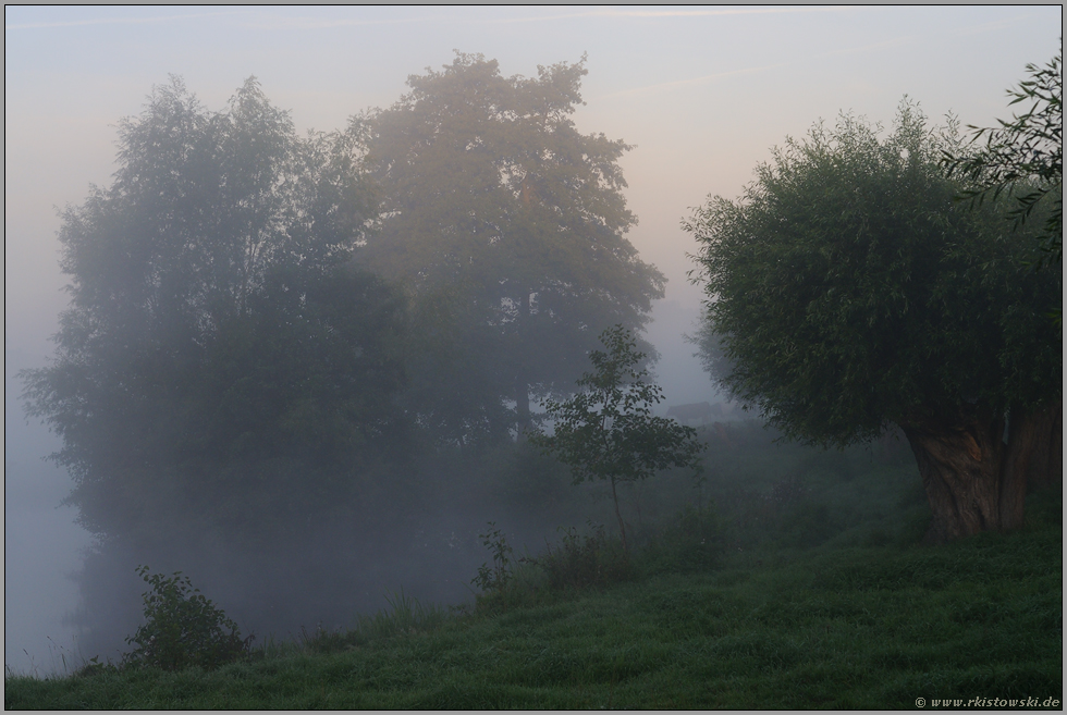 Morgenstimmung... Niederrhein *Nordrhein-Westfalen*