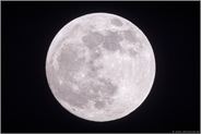 Vollmond über Deutschland... 20. Januar 2019 *Nordrhein-Westfalen*
