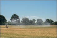 Bewässerung... Hochsommer *Nordrhein-Westfalen*, Regnerwagen wässert ein Getreidefeld