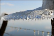 Eisgebilde am Stacheldraht... Eiszapfen *Winterhochwasser 2020/2021* am Niederrhein