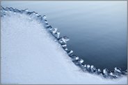Yin und Yang eiskalt... Eisplatte *Winterhochwasser 2020/2021*, angetaute Eisplatte an einem Stacheldrahtzaun