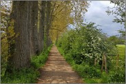 Wanderweg... Meerbusch *Lank Latum*, Verbindung zwischen Latumer See und Herrenbusch