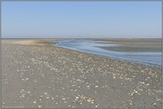 soweit das Auge reicht... Wattenmeer *Nordsee* vor Cuxhaven, Meeresboden bei Niedrigwasser